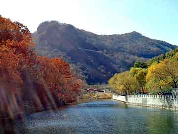 新澳天天开奖资料大全旅游团，灰鸽子免杀